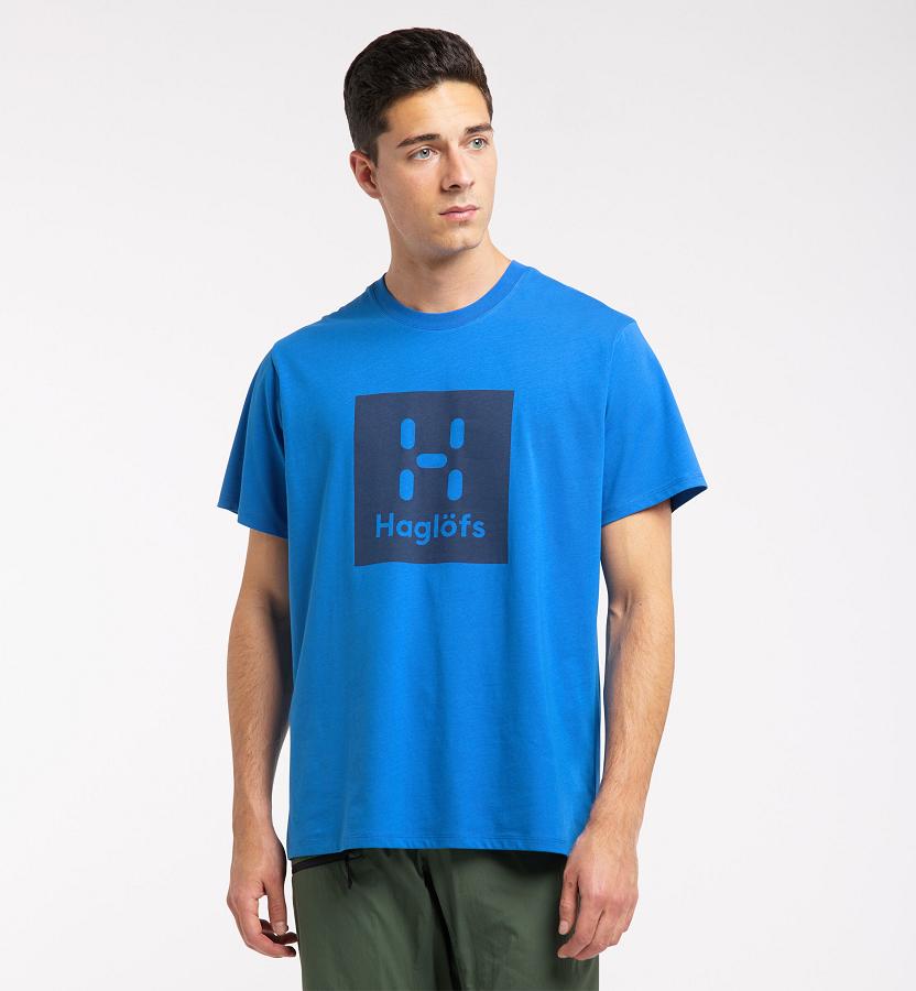Haglöfs Mens Camp T-Shirt Blue New Zealand 67359BTPC